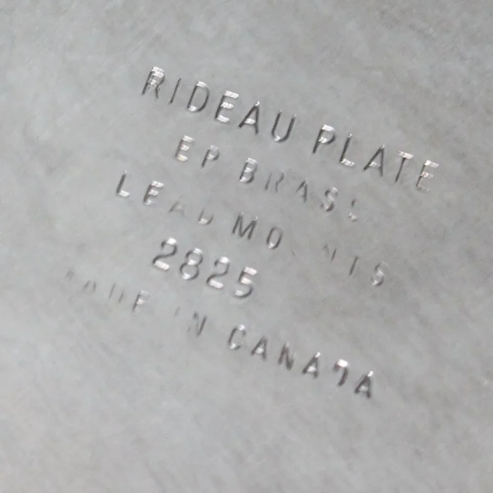 [RIDEAU PLATE] Lidded Silver Serving Tray with and Glass Dish - Picture 14 of 17